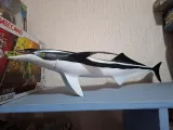 Remora-Modell – Nachbildung des Saugfisches-4