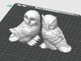 Owl and eagle owl-1