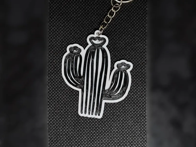 Llavero Cactus