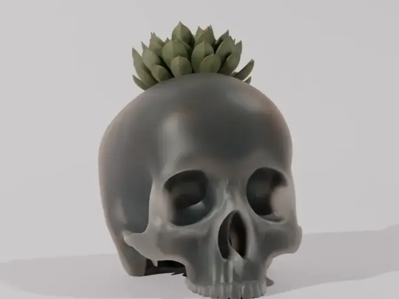 Skull Pot Plant - Home Decoration