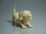 Dachshund-4