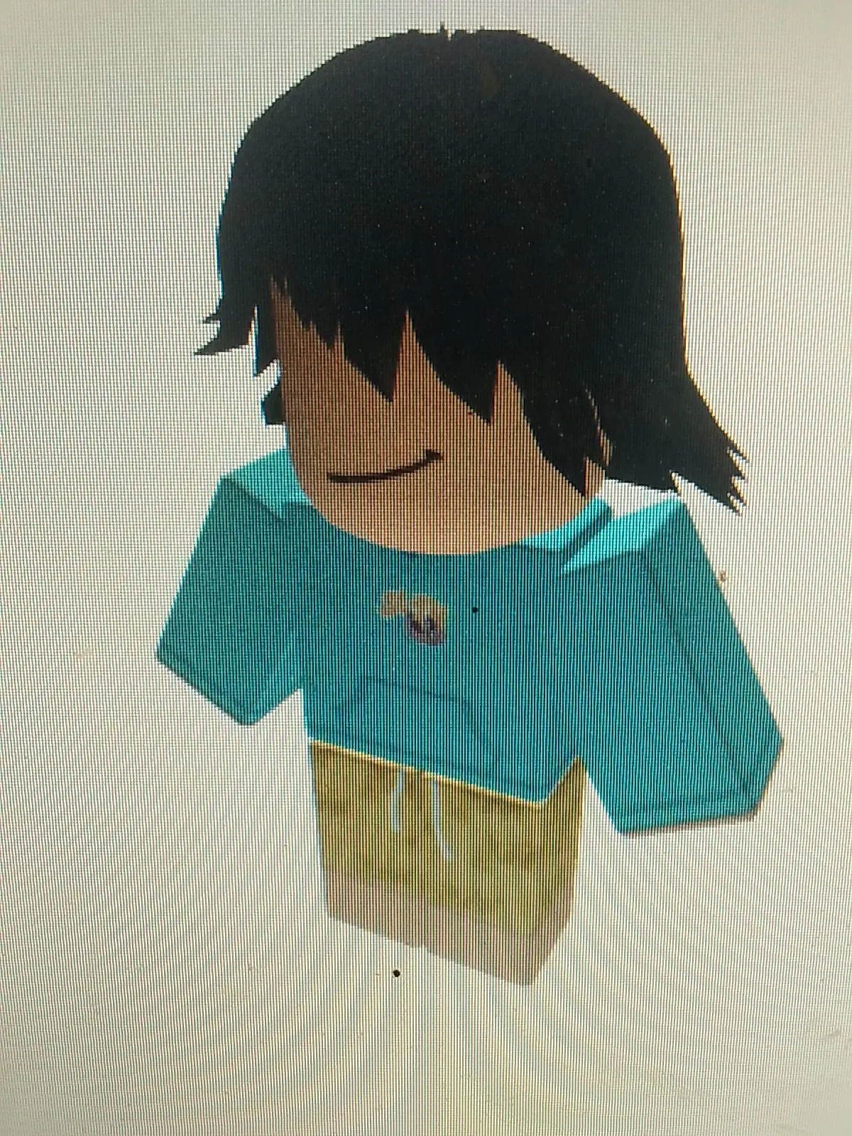 Zackdhanujaya1 roblox shoulder pet