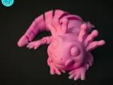 FLEXI BABY AXOLOTL-4