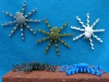 Spider "Doodle"-0