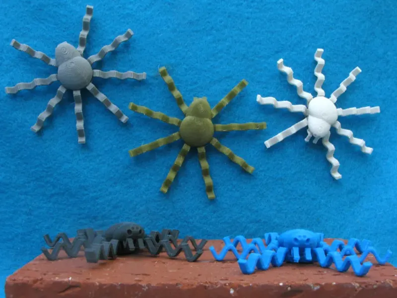 Spider "Doodle"