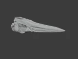 American Bittern Skull-3