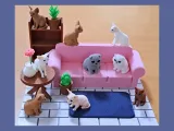 Cat Lounge-3
