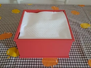 NAPKIN HOLDER