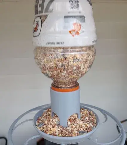 Gatorade bottle bird feeder