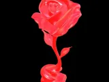 Rose-2