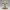 Cozy Scarf Baby Goat – Noah0x03
