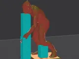 Darwin's Monkeys-4