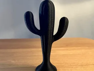 Cactus Decor