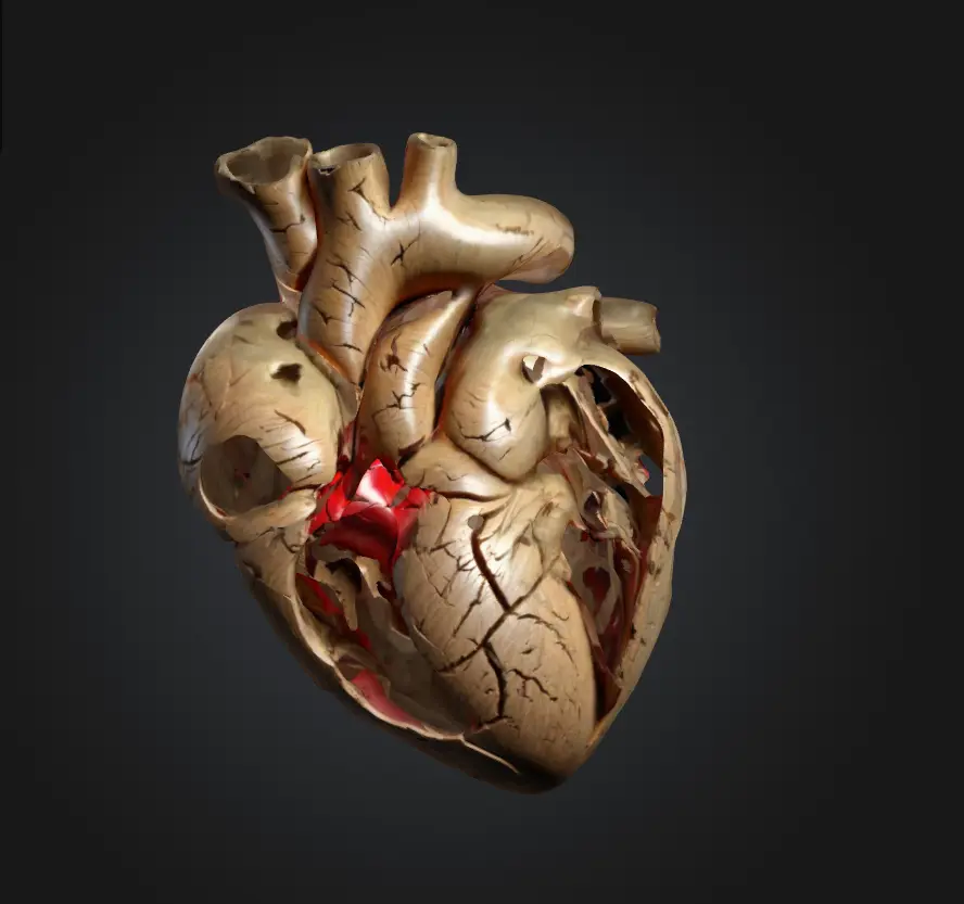 Broken Heart Human🫀💔