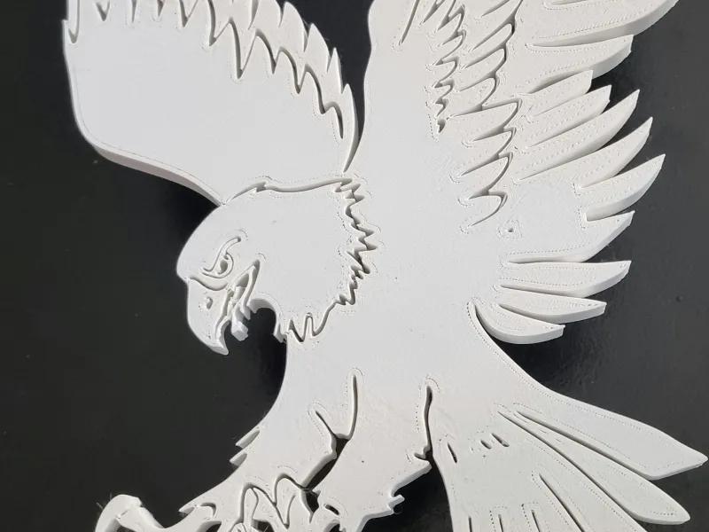 hawk