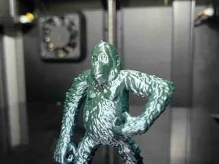 Gorilla gorille
