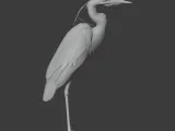Heron-4
