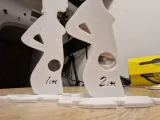 Pregnancy Evolution-5