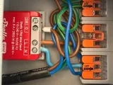 Junction box for switch, Shelly, and Wago-1