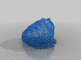 Thomson Problem Cat Head and Toad  -2