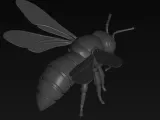 robot bee model-3