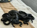 Octopus-5