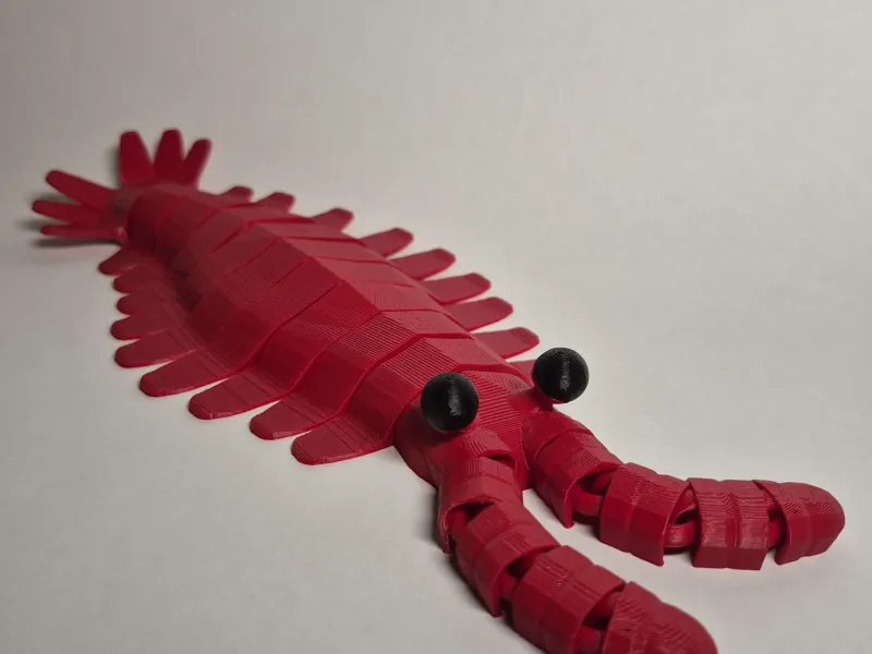 Print in place Anomalocaris
