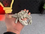 Articulated Skeleton Crab-5