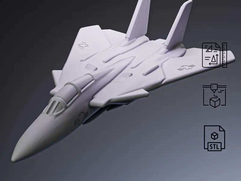 F-14 Fighter Jet #RoZ