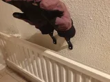 gloves dryer-2