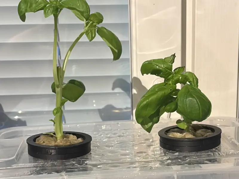 Hydro-Pot