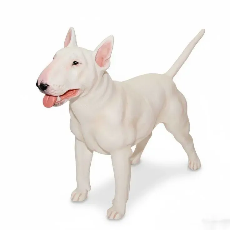perro bull terrier