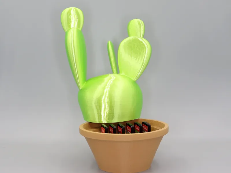 Cactus Nintendo switch cartridge holder