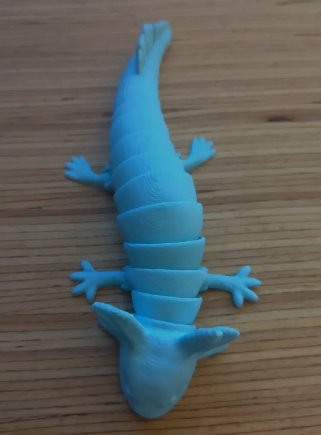 Axolotl articolato