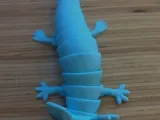 Axolotl articulado-1