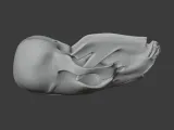 Black Bear Skull-7