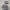 Capuchon de boulon d'amortisseur Opel Astra H