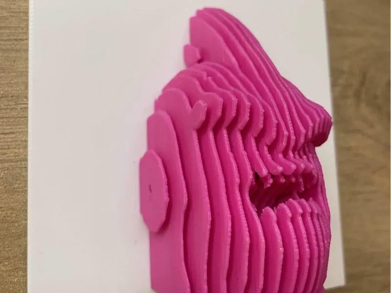 Escultura en capa boo