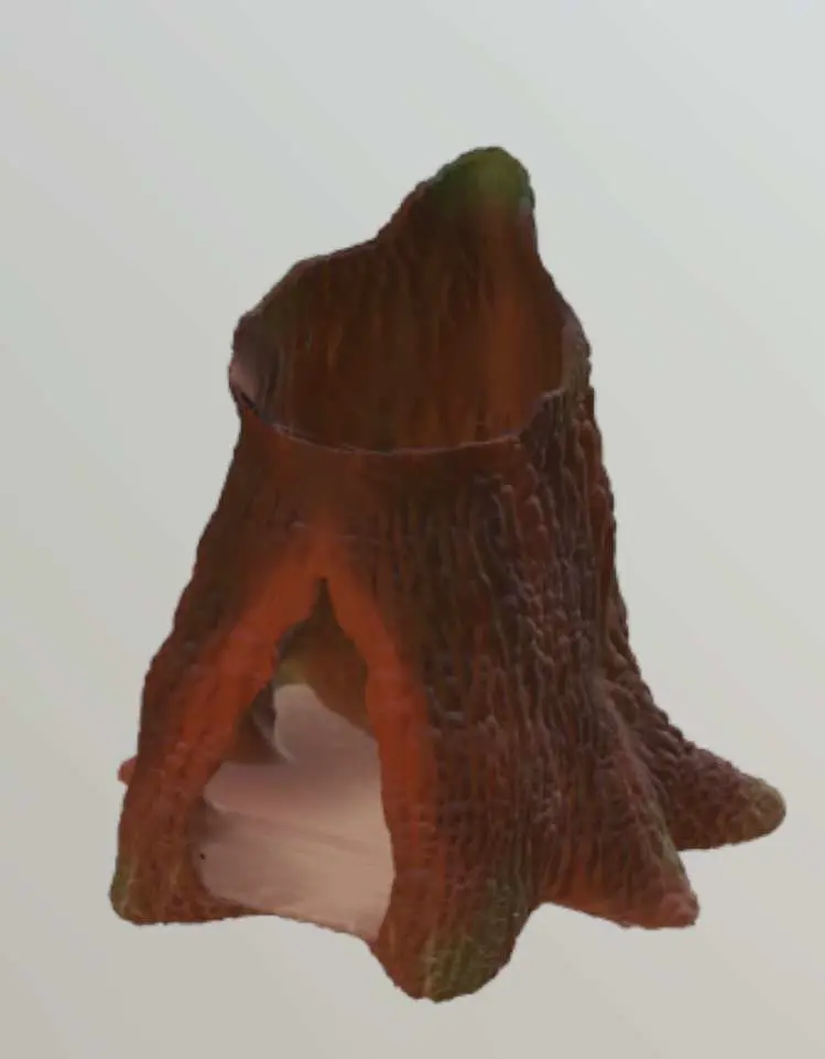 Tree Stump