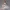 Blue Dream Reverie – Ecchi Cozy Elegance