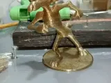 Wile E. El Coyote-2