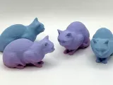 Das Kätzchen-0