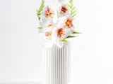 Arcus ⬝ Vase-1