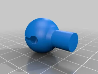 Plug pour coraux