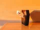 Coughin’ Coffin-2