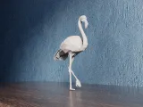 Low Poly Flamingo-6
