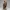 Temple Awakening – Sacred Sands Collectible Figurine