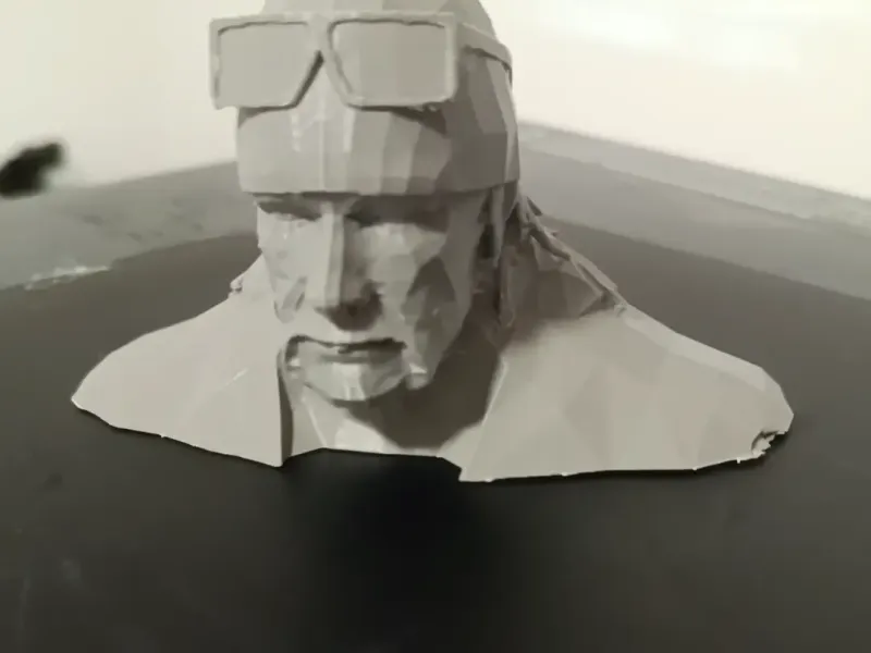 Hulk Hogan