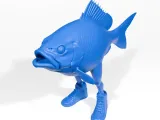 Pez divertido-4