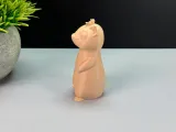 Simpatica lontra-8
